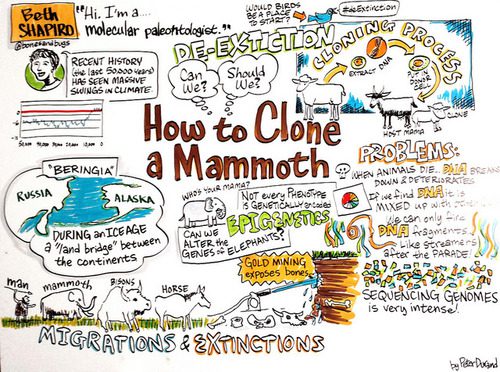 How-to-clone-a-mammoth-scribing - Revive & Restore