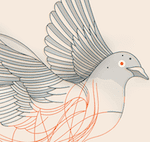 pigeon graphic Revive & Restore