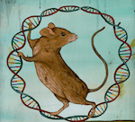 mouse on wheel of DNA cells Revive & Restore