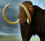 Woolly Mammoth small photo Revive & Restore