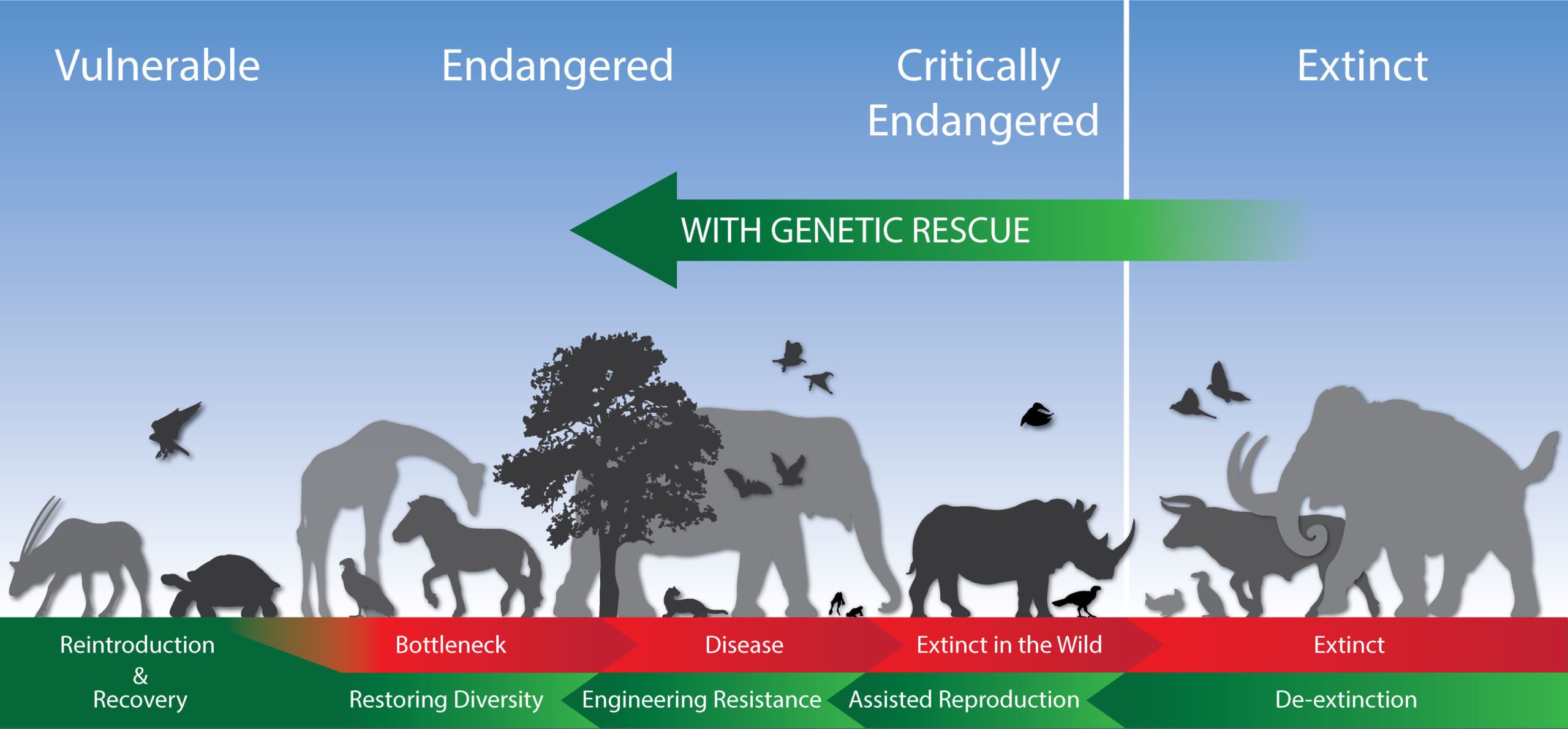 9 Cool Genetic Tools that Could Save Biodiversity - Revive & Restore