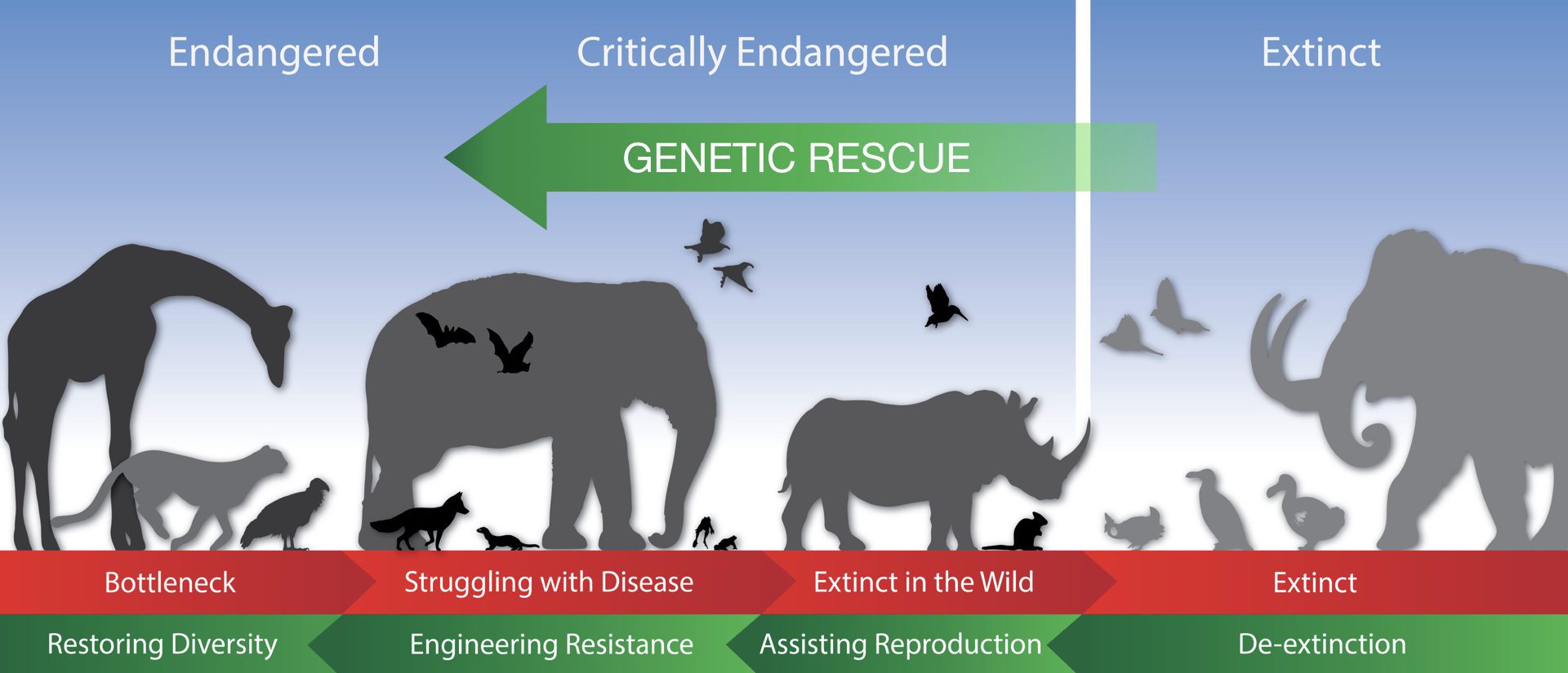 5 Biotechnologies That Might Help Save Endangered Species - Revive & Restore