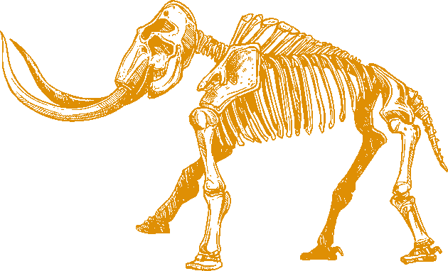 Woolly Mammoth skeleton | Revive & Restore