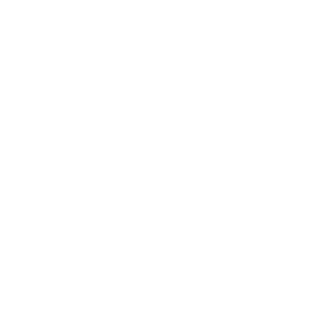 Promega logo white