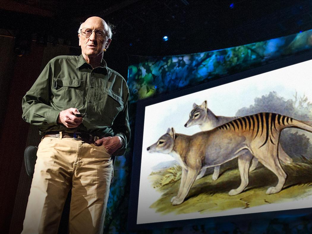 Stewart Brand (Co-Founder of Revive & Restore) on stage at TEDX De-Extinction in 2013