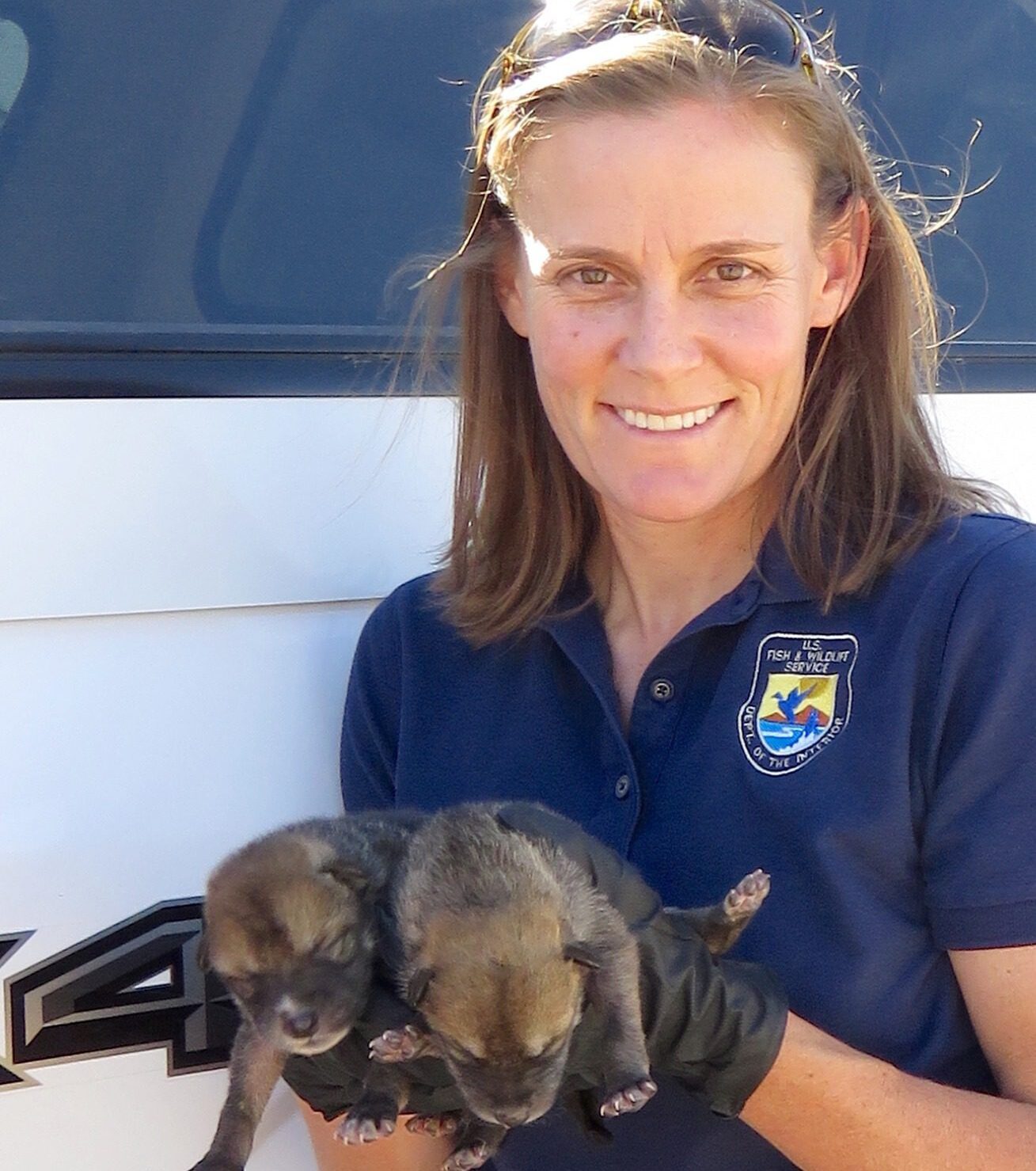 Maggie Dwire, Deputy Mexican Wolf Recovery Coordinator U.S. Fish and