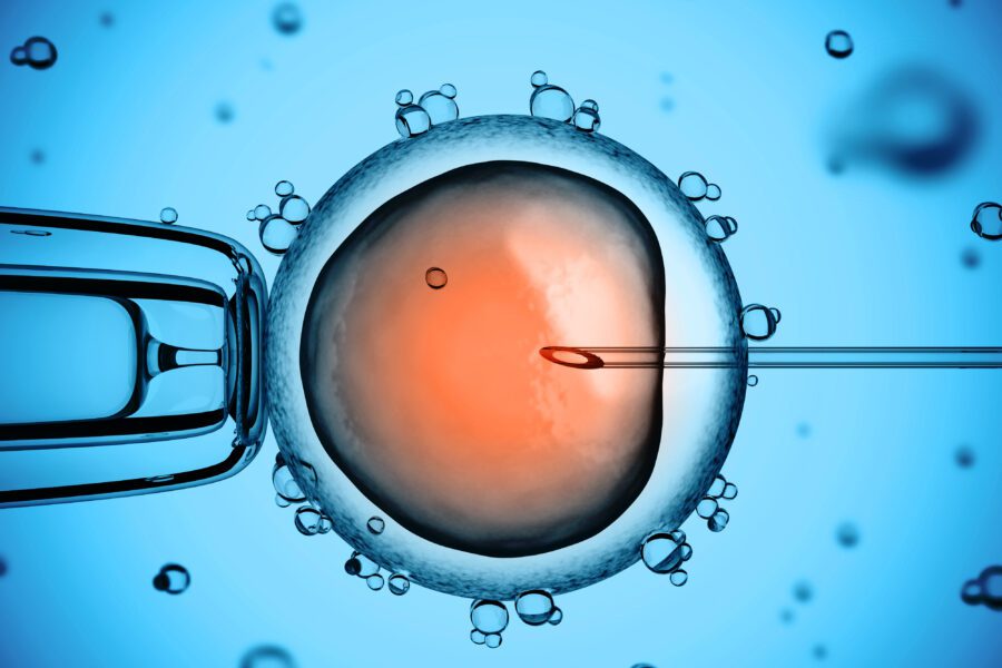 Manipulating a stem cell | Shutterstock
