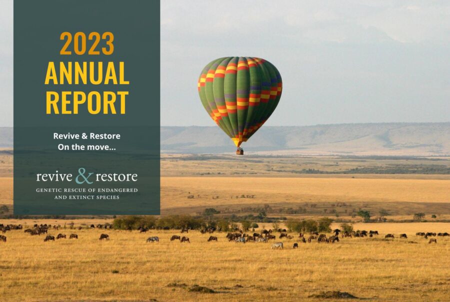 2023 Annual Report_COVER