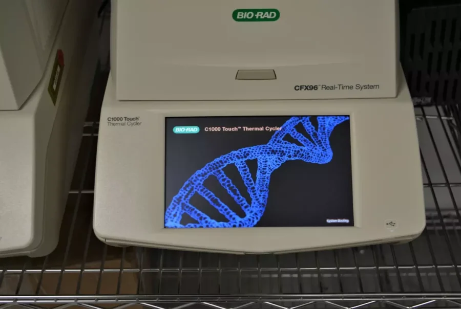 One of the thermocyclers used to detect invasive carp DNA in eDNA samples at Whitney Genetics Lab