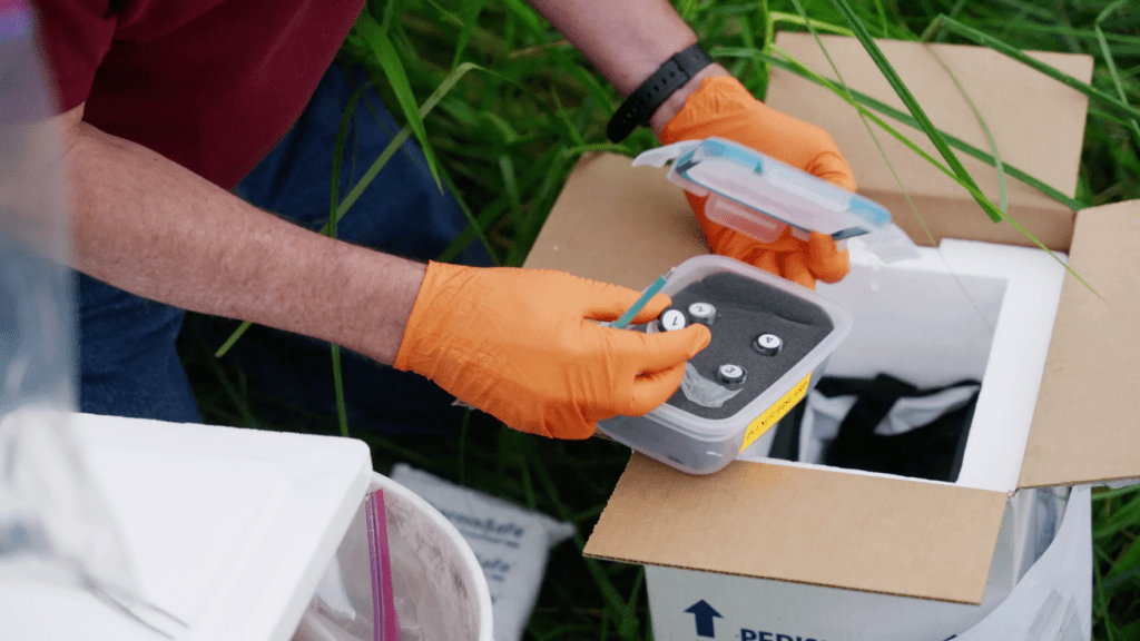 A field biologist takes out one one the vials in the U.S. Fish and Wildlife Cryopreservation kits. Those who want to participate are given the tools needed to punch out an ear tissue sample for storage and genetic research | Scripps News
