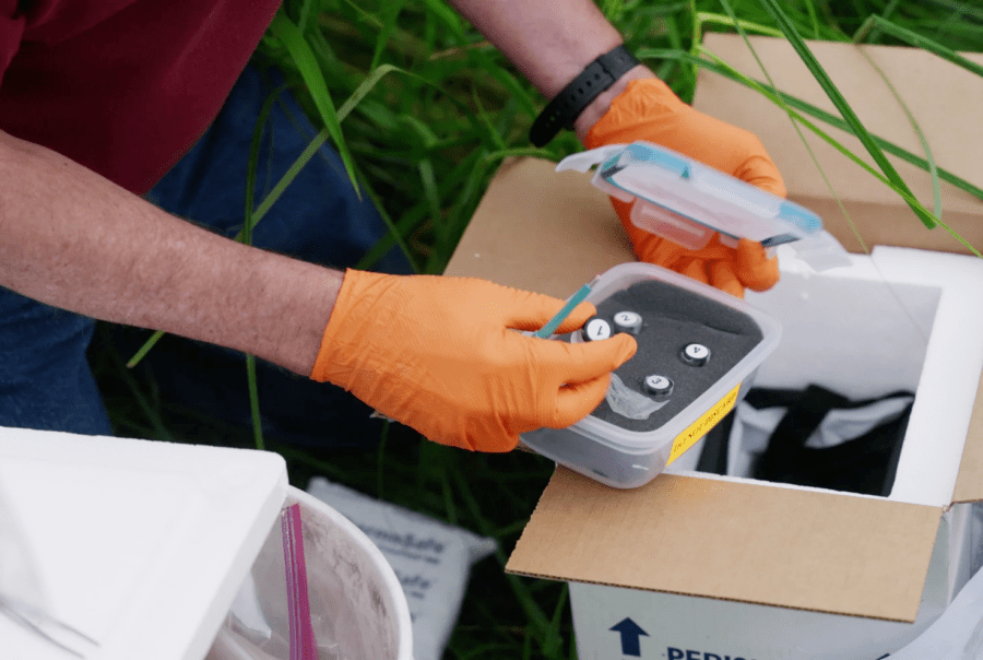 A field biologist takes out one one the vials in the U.S. Fish and Wildlife Cryopreservation kits. Those who want to participate are given the tools needed to punch out an ear tissue sample for storage and genetic research | Scripps News