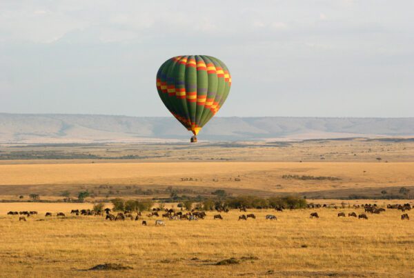 Hot air balloon | Kenya
