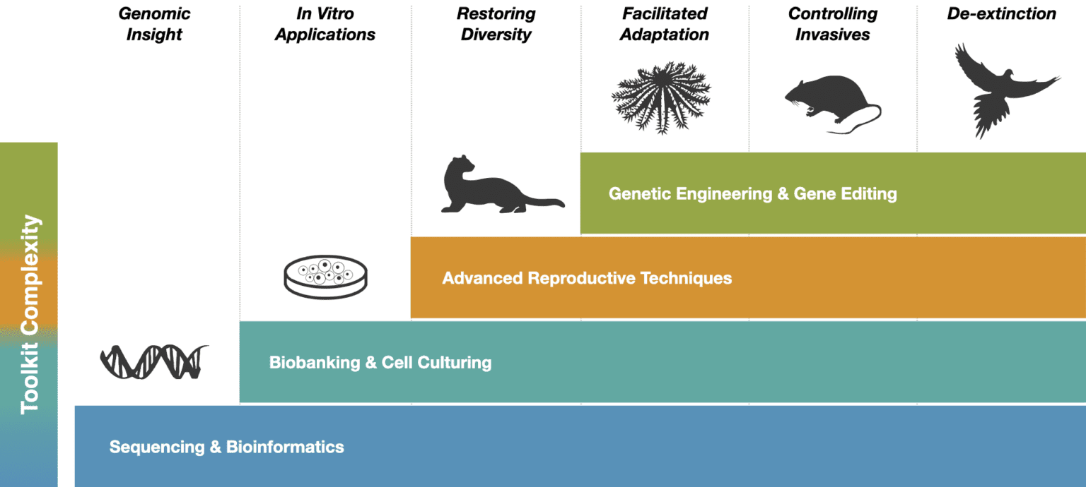 The Genetic Rescue Toolkit | Revive & Restore | Enhance Biodiversity