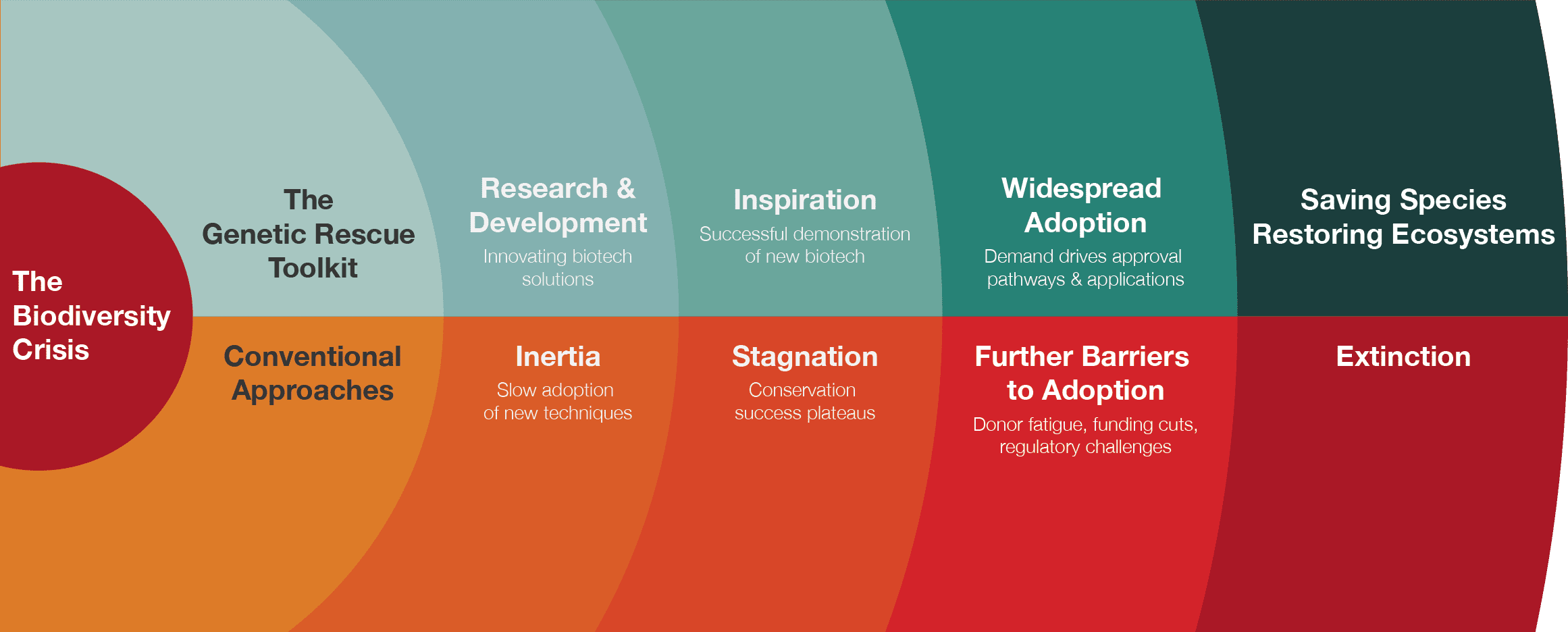 Our Theory of Change: In order to turn the tide on biodiversity loss, we must fully realize the potential of the Genetic Rescue Toolkit, from technology development to widespread adoption and deployment in the conservation community.