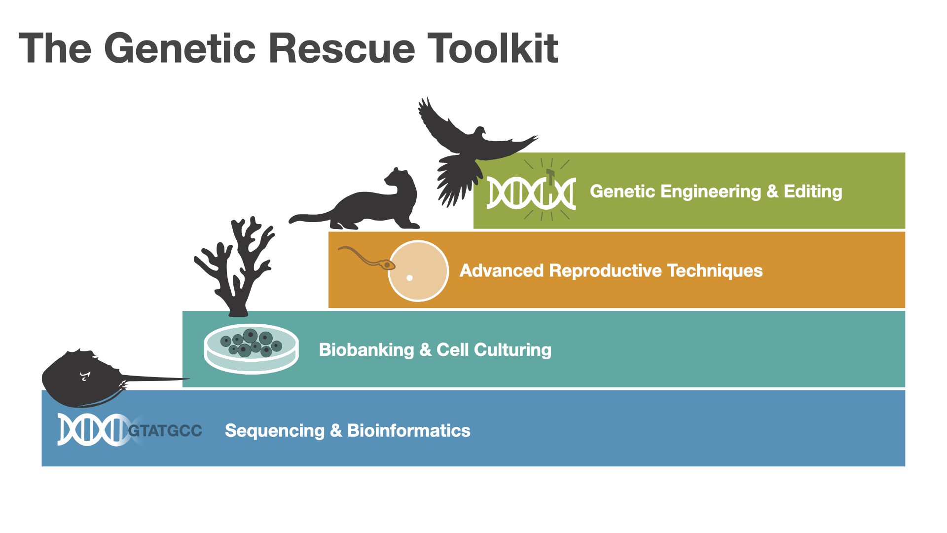 Genetic Rescue Toolkit - Revive & Restore